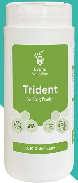 Evans Trident Sanitising Powder 1 Pack of 500g