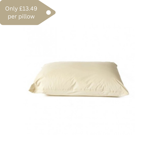 PU Waterproof and flame retardant pillow 500 gsm - Pack of 2