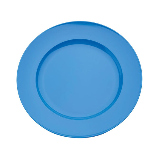 Plate Wide Rim 24cm Pack of 10