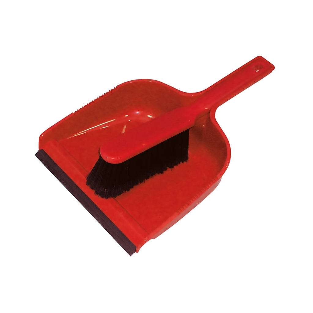 Dust Pan & Brush With Lip