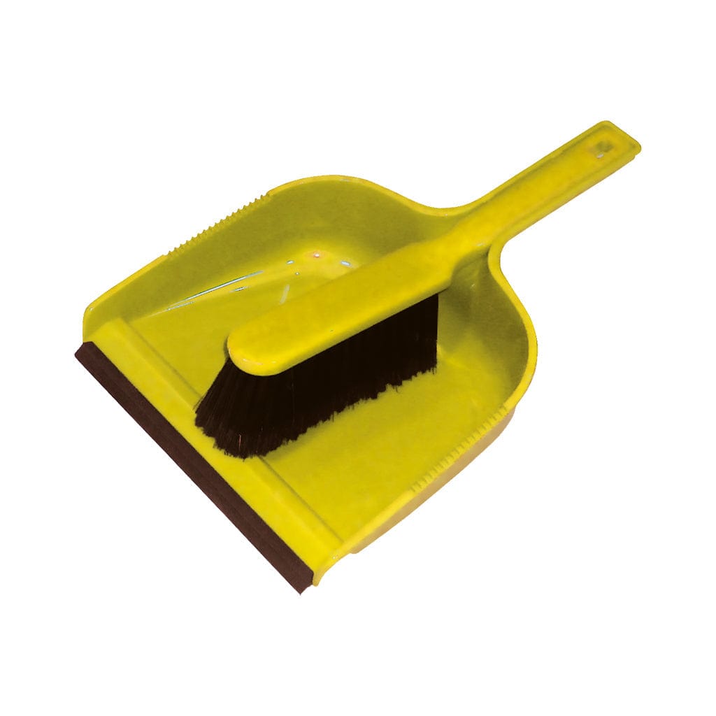 Dust Pan & Brush With Lip