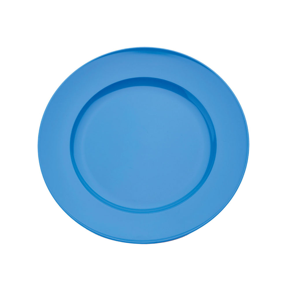 Plate Wide Rim 24cm Blue - Daily Living Aids product from Care Express