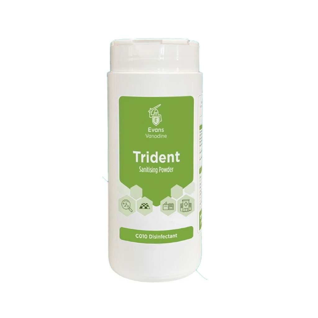 Evans Trident Sanitising Powder 1 Pack of 500g for Cleaning Products cleaning supplies Care Express