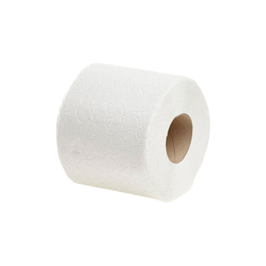 Toilet Roll Embossed 2 Ply 320 Sheets - Paper Towels and Rolls product from Care Express