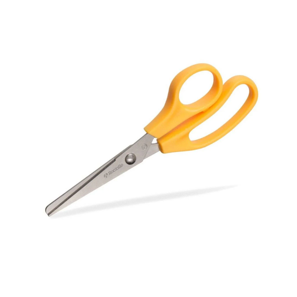 Sterile Scissors Sharp/Blunt  Care Express
