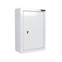 Controlled Drugs Cabinet - (H)600 x (W)400 x (D)200mm