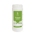 Evans Trident Sanitising Powder - Tub of 500g