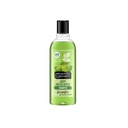 Alberto Balsam Shampoo - 300ml (Pack of 6) 